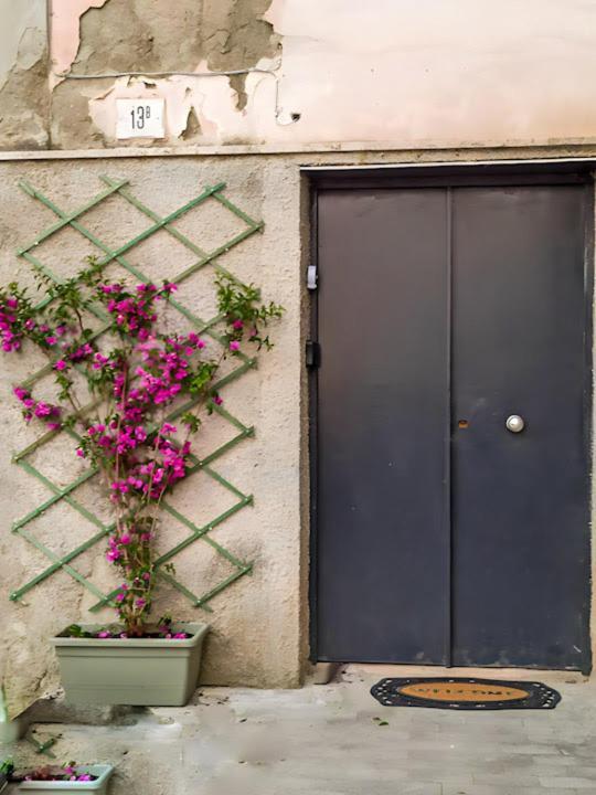Tra Il Bosco E L'orto * Napoli